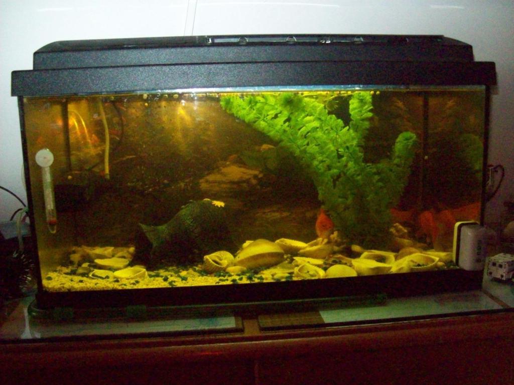 Pensiunea Norica Gura Rîului Kamer foto